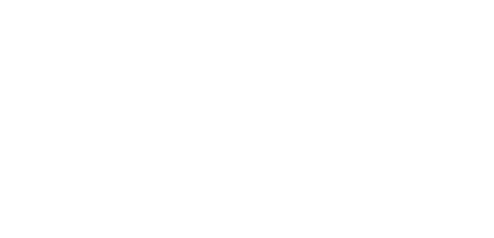 Logo Venice Downtown