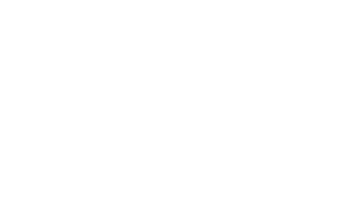 Logo Vibe