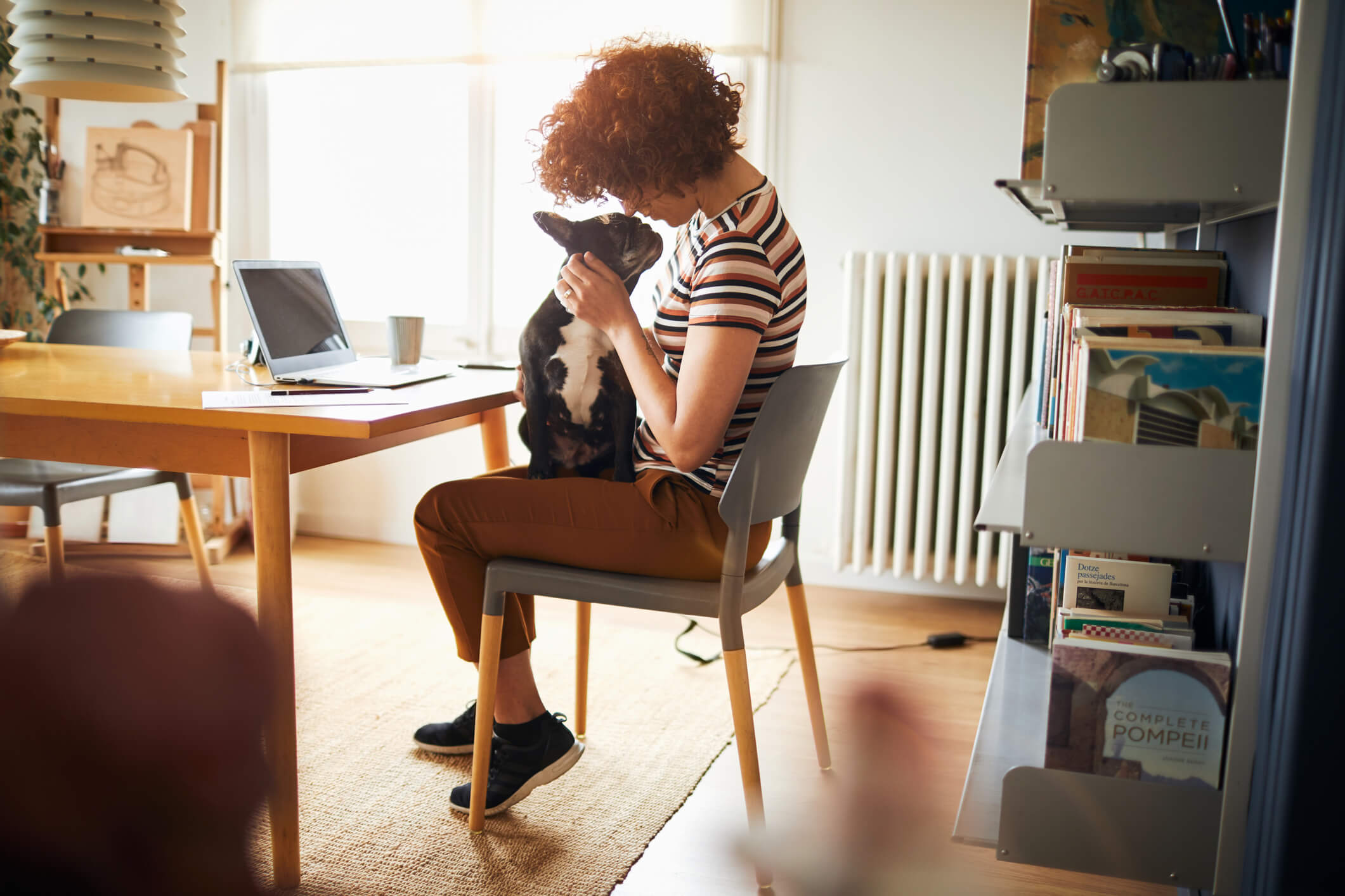 7 dicas para cuidar de animais de estimação em apartamento