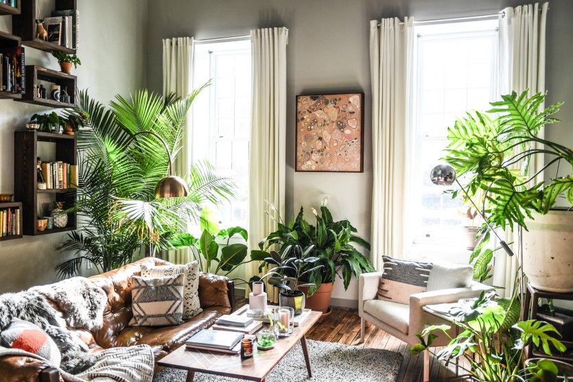 Cuidados com as plantas no inverno - Confira as dicas!
