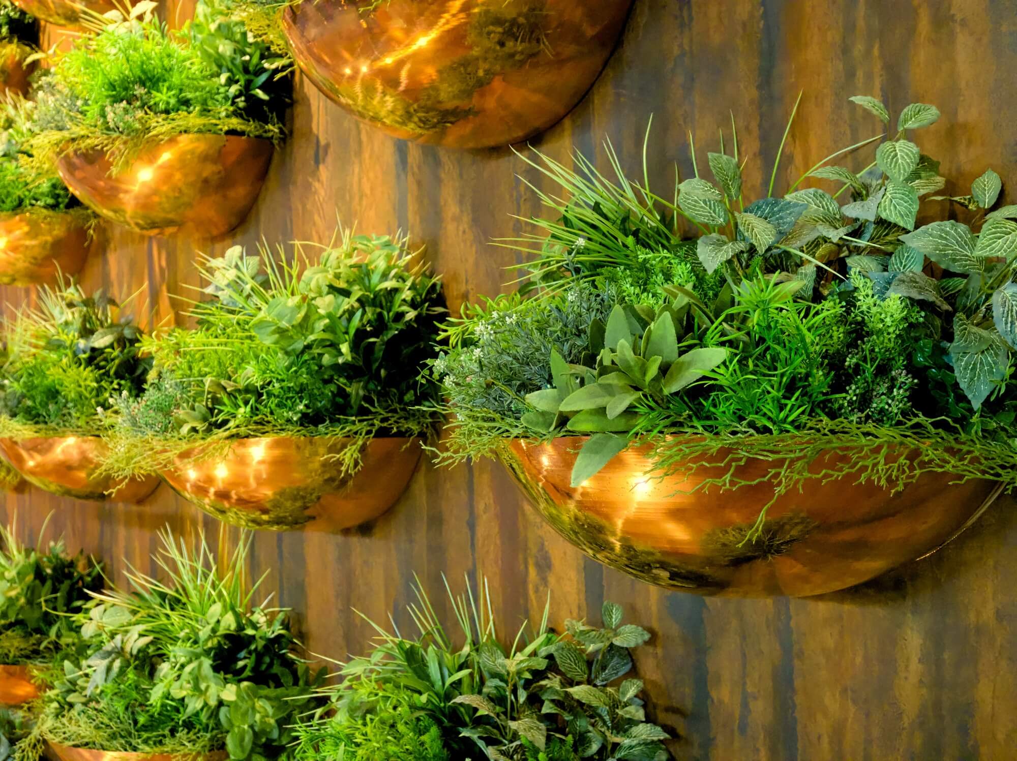 Aprenda agora como fazer uma horta vertical em casa sem tomar muito espaço!