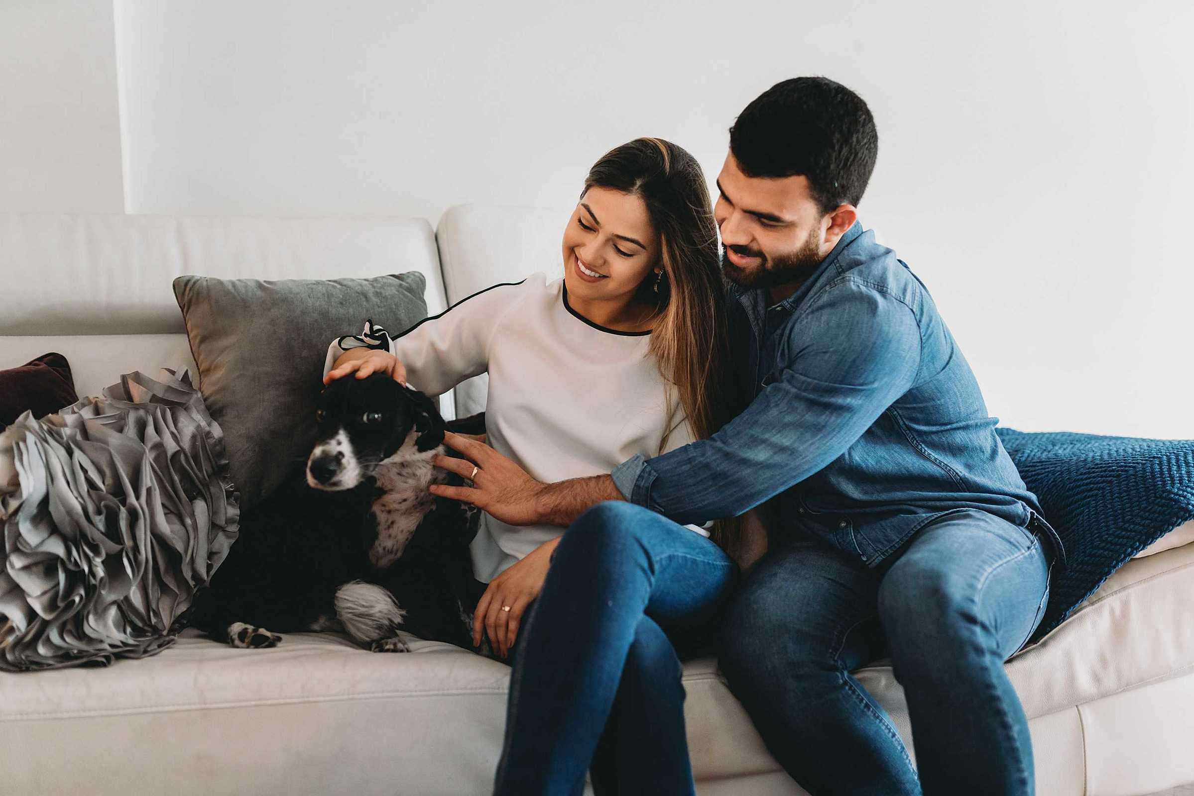Quais são as regras e normas a respeito dos animais em condomínio?