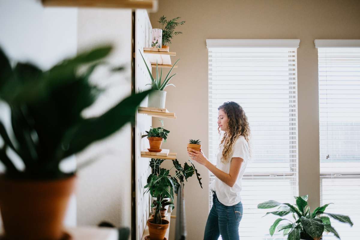 Quais as melhores plantas para apartamento? Saiba como decorar o apê com design biofílico!