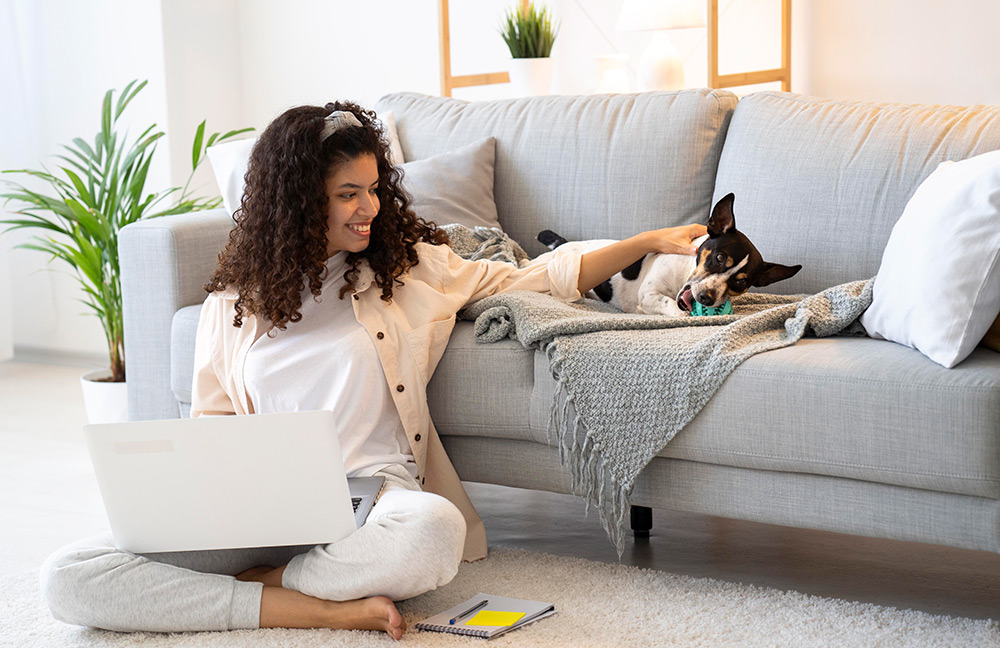 Plantas para pets: beleza para a casa e segurança para seu amigo de estimação