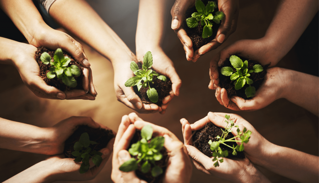 mãos-e-plantas