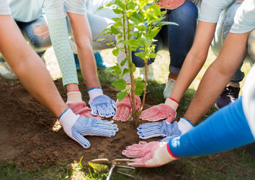 projeto-mais-verde